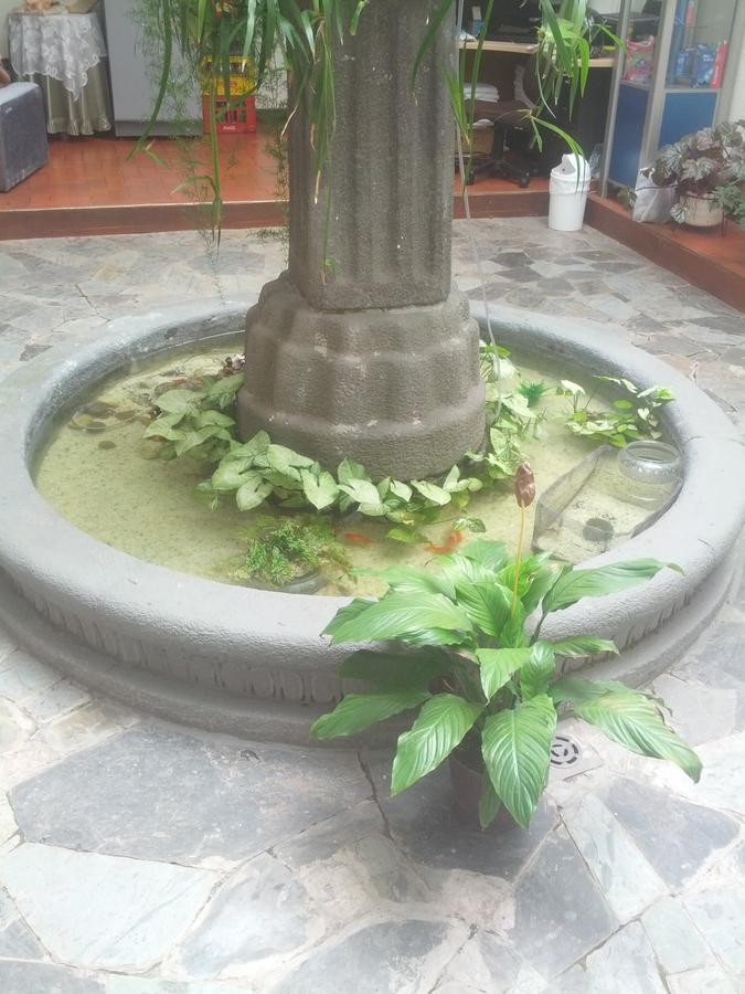 Hotel Krone Popayan Esterno foto